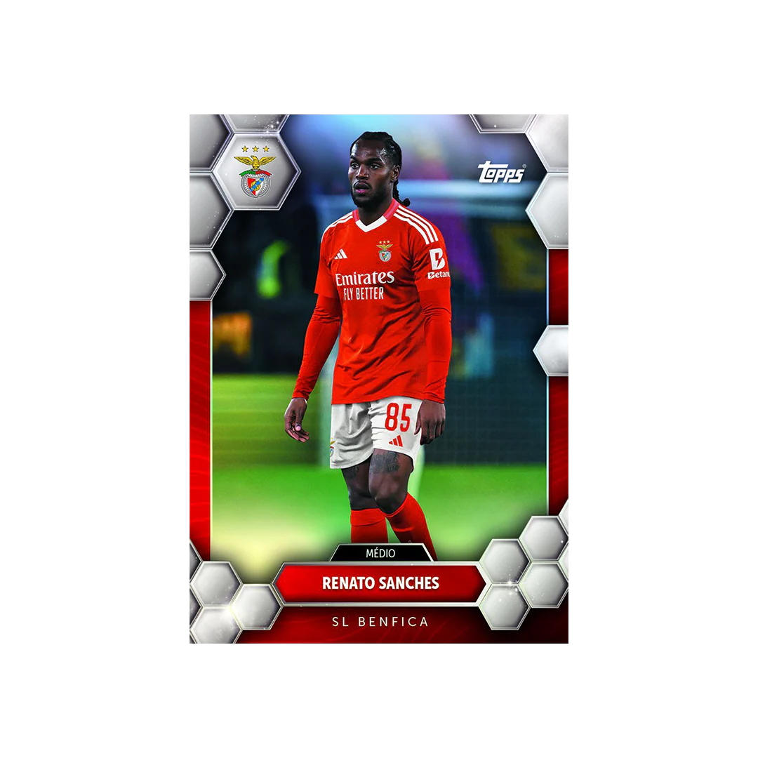 Fan Set Benfica 2024/25