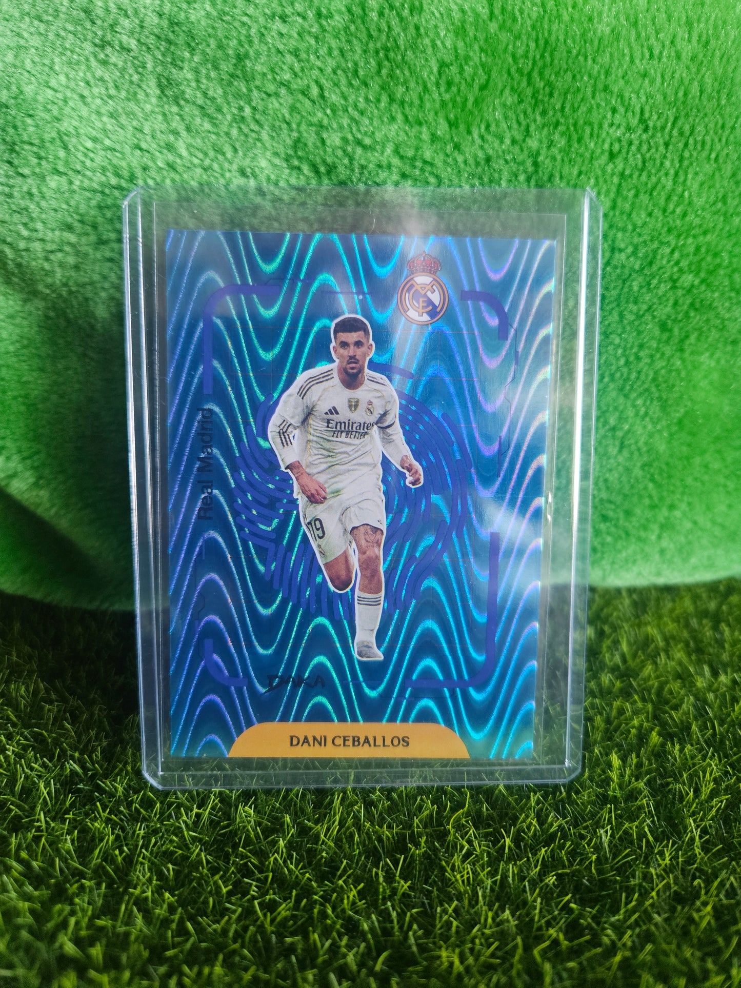 Dani Ceballos /149 - Top Audience Real Madrid 25/26