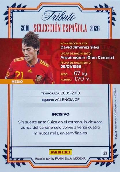 David Silva - Sudáfrica 2010 - Tributo "Vamos Campeones" Selección Española 2010-2026