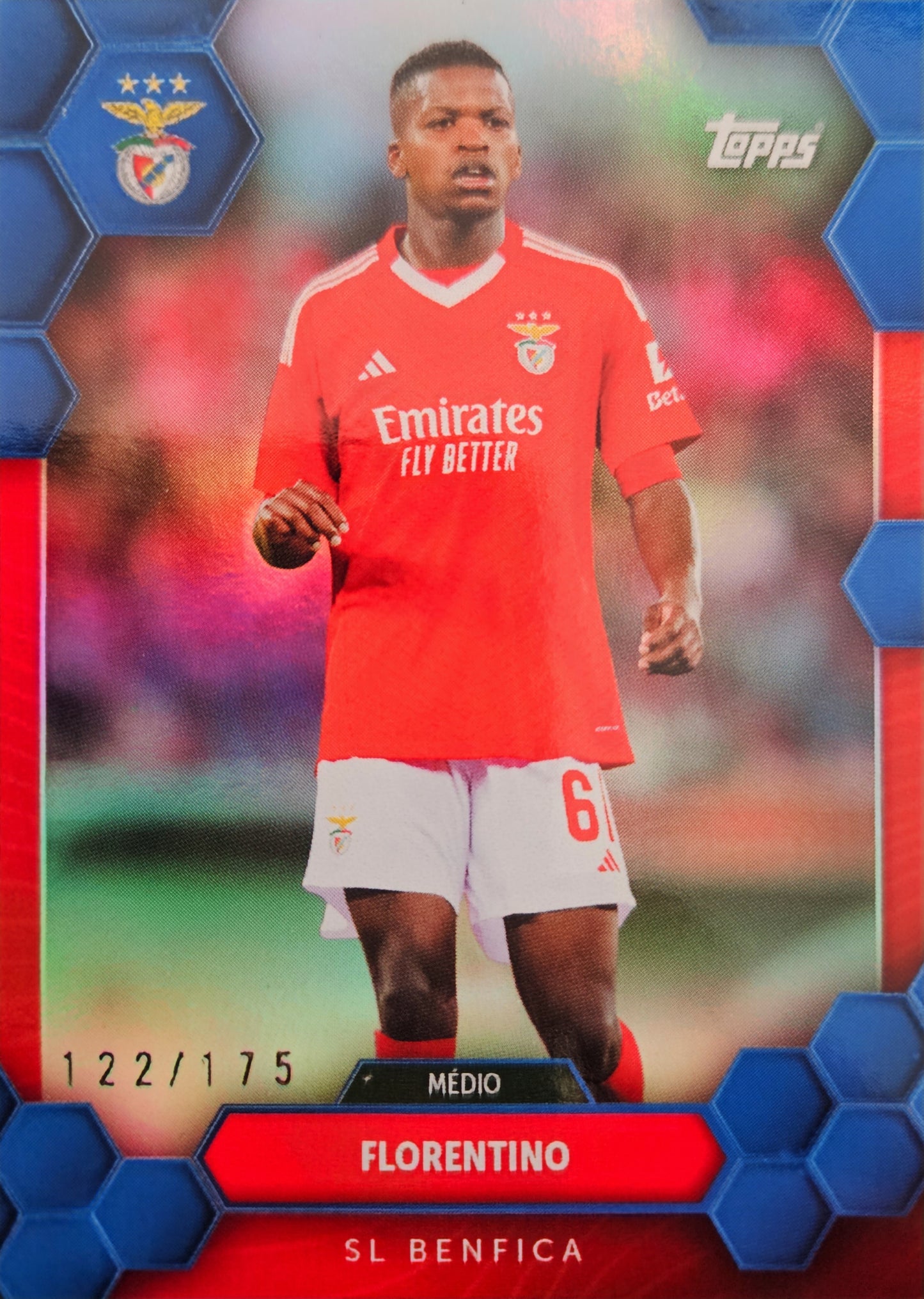 Florentino /175 - Fan Set Benfica 24/25