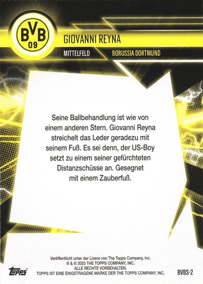 Giovanni Reyna - Fan Set Borussia Dortmund 23/24