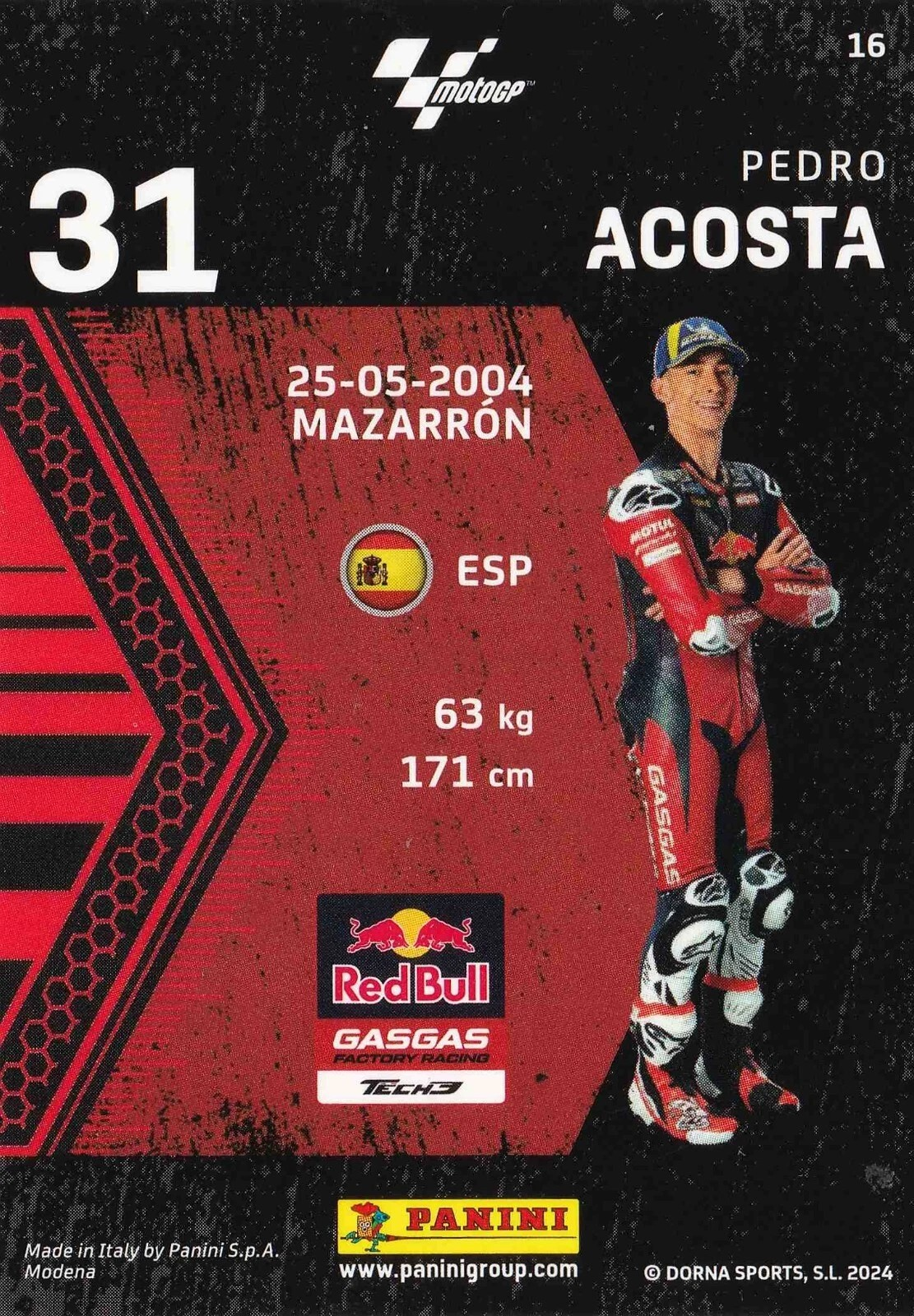 Pedro Acosta - Starting Grid - MotoGP 2024 75th Anniversary