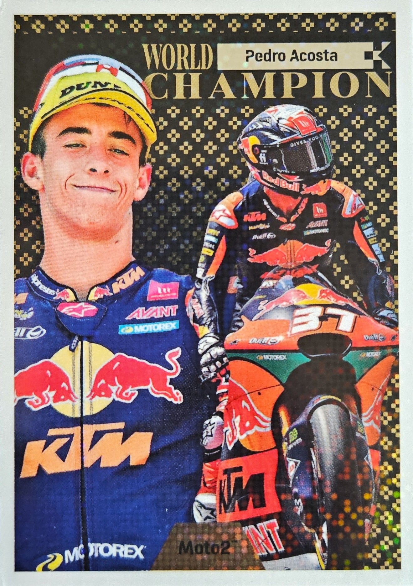 Pedro Acosta - World Champion Moto 2 - MotoGP 2024 75th Anniversary