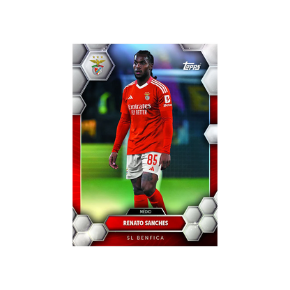 Fan Set Benfica 2024/25