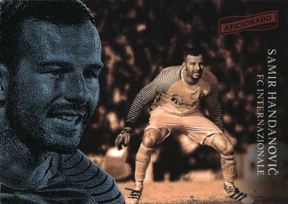Samir Handanović - Aficionado Soccer 16/17