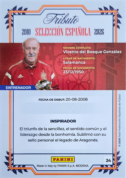 Vicente del Bosque - Sudáfrica 2010 - Tributo "Vamos Campeones" Selección Española 2010-2026