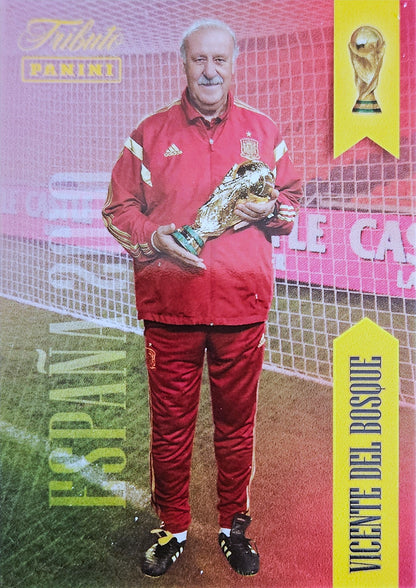 Vicente del Bosque - Sudáfrica 2010 - Tributo "Vamos Campeones" Selección Española 2010-2026
